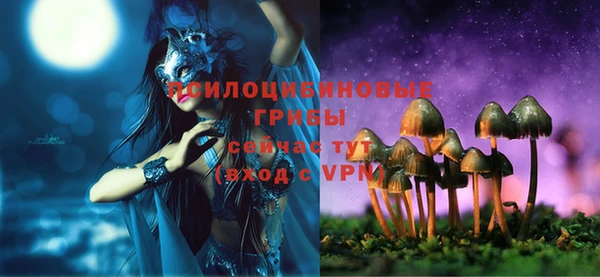 бошки Волоколамск